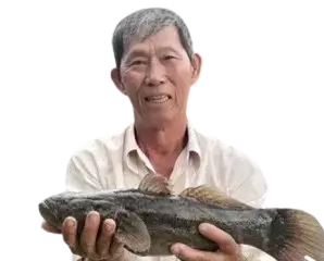 Ông Nguyễn Văn Hòa, nông dân nuôi cá ở huyện Châu Thành, An Giang